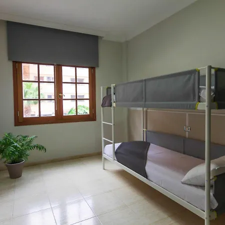 Apartment Apartamento Puerto De La Cruz, 2 Dormitorios, 5 Personas - Es-284-1 *
